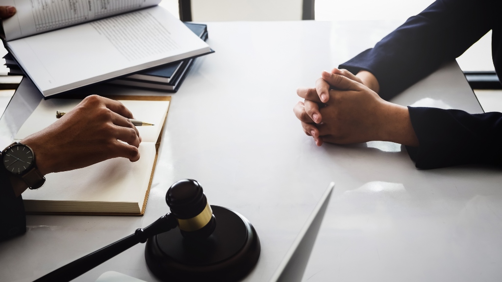 lawyer is consulting client
