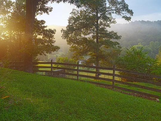Sunrise shining through trees over a green grassy yard and wooden fence.