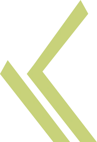 A funky lime green double arrow pointing to the left on a transparent background.