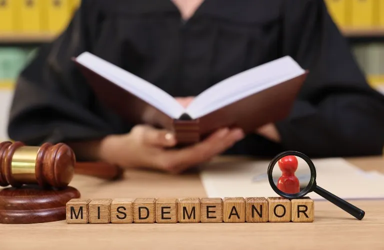 Wooden blocks spell "MISDEMEANOR" with a magnifying glass and red pawn, judge in background.