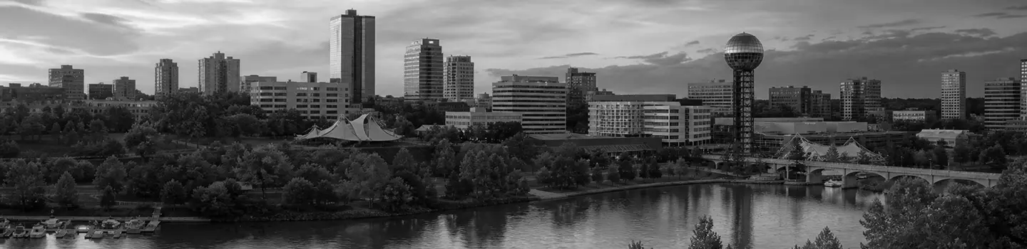Black and white city skyline with river, trees, and a unique spherical tower.