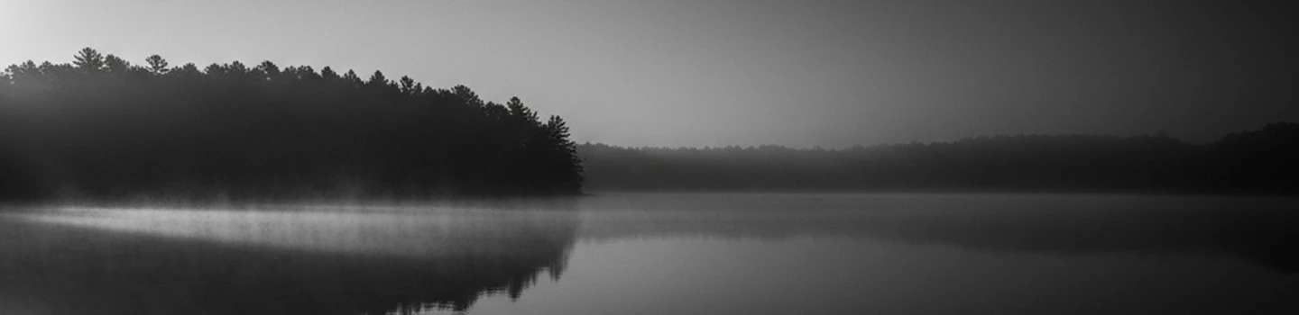 A calm, misty lake with dark tree silhouettes reflected in still water.