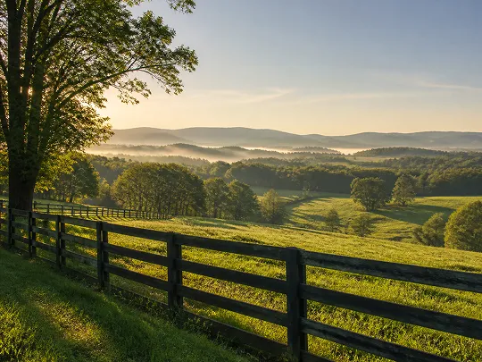 Sunlit green fields with wooden fence, trees, and misty hills in the distance.