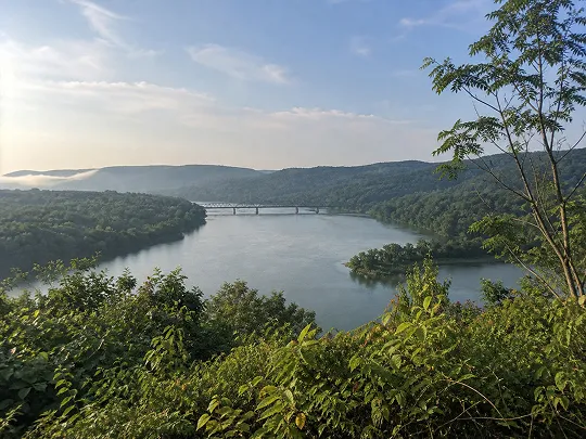 A chill river view with lots of green trees and a bridge in the distance under a blue sky.