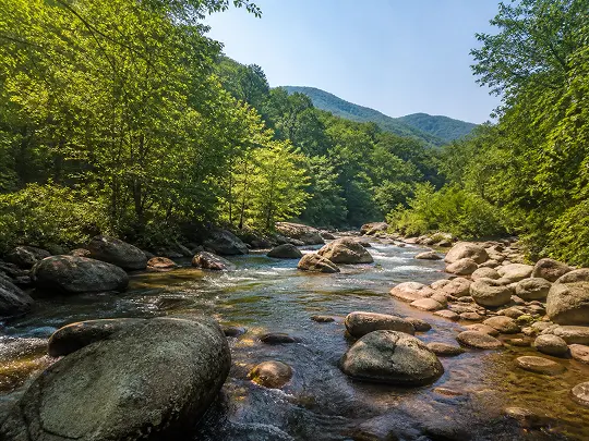 Chill river with big rocks, lush green trees, and mountains in the background.