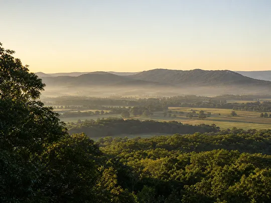 A peaceful morning view of green trees, misty fields, and distant hills.